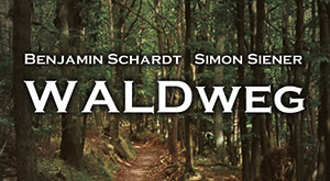 Waldweg